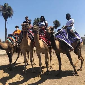 Meet your Posher, Tommy